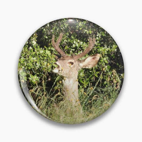 Item preview, Mule deer, buck, wildlife, Sequoia King designed and sold by Sandra O'Toole.