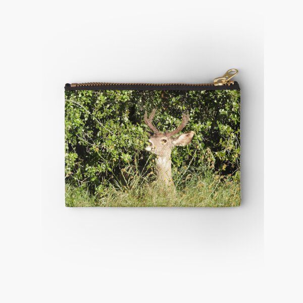 Item preview, Venado bura, dólar, vida silvestre, Sequoia King designed and sold by Sandra O'Toole.