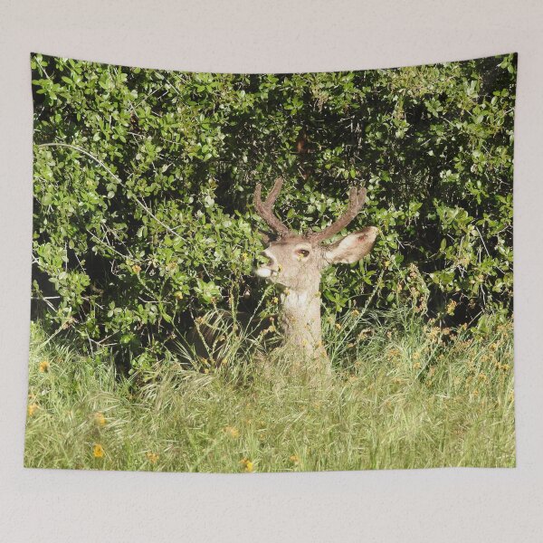 Item preview, Mule deer, buck, wildlife, Sequoia King designed and sold by Sandra O'Toole.