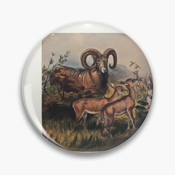 Item preview, Zoological sketches by Joseph Wolf 1861 to 1867 024 Vigne's Wild Sheep designed and sold by WetdryvacRB01.