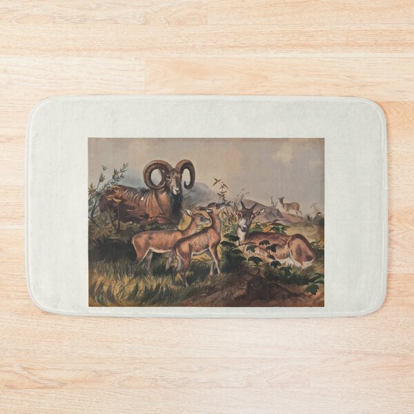 Item preview, Zoological sketches by Joseph Wolf 1861 to 1867 024 Vigne's Wild Sheep designed and sold by WetdryvacRB01.