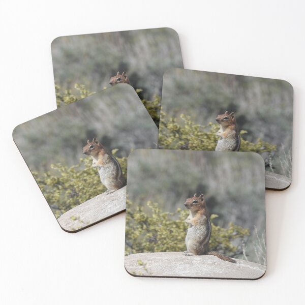 Item preview, Chipmunk, wildlife, On the Lookout designed and sold by Sandra O'Toole.