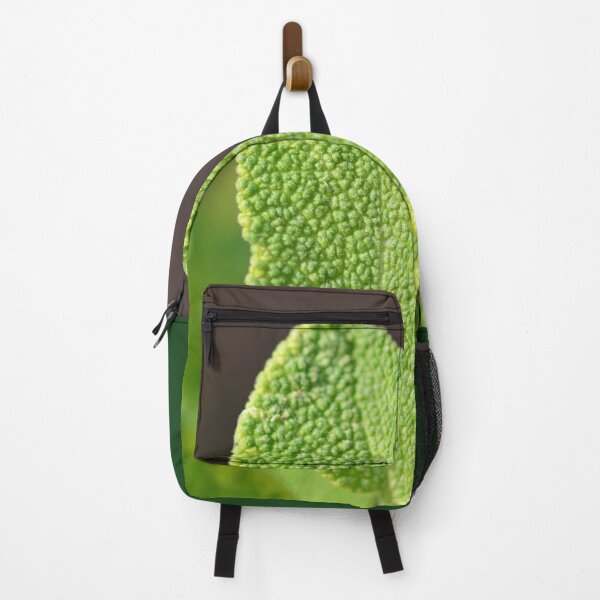 Item preview, Herbs - gold leaf sage in the urban garden designed and sold by wineandwords.