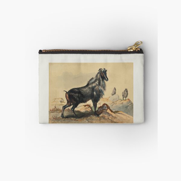 Item preview, Zoological sketches by Joseph Wolf 1861 to 1867 025 The Thar Goat designed and sold by WetdryvacRB01.