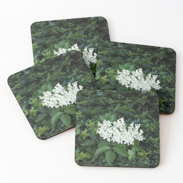 Item preview, Elderflowers in the hedge designed and sold by wineandwords.