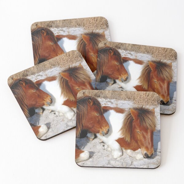 Item preview, Wild horses, wildlife, Assateague Island, Sleepy Twosome designed and sold by Sandra O'Toole.