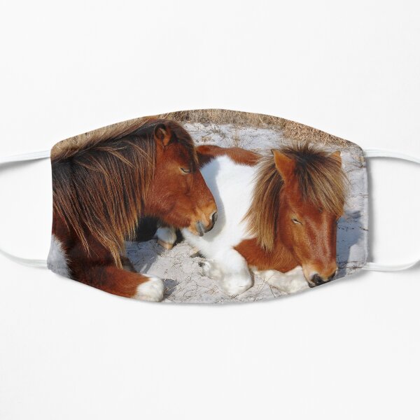 Wild horses, wildlife, Assateague Island, Sleepy Twosome Mask