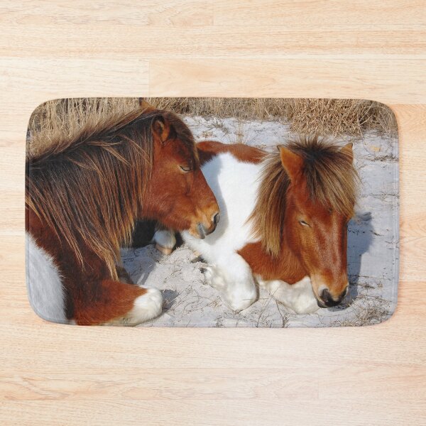 Item preview, Wild horses, wildlife, Assateague Island, Sleepy Twosome designed and sold by Sandra O'Toole.