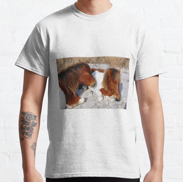 Wild horses, wildlife, Assateague Island, Sleepy Twosome Classic T-Shirt