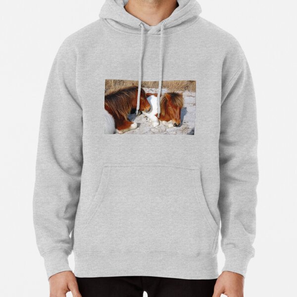 Wild horses, wildlife, Assateague Island, Sleepy Twosome Pullover Hoodie