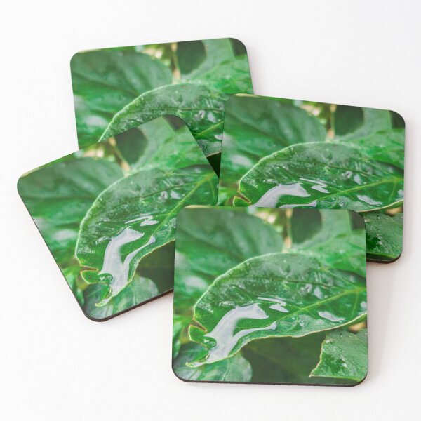 Item preview, Garden Leaf designed and sold by jbritten.