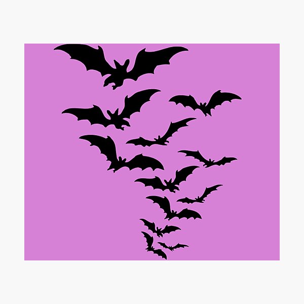 Bat Photographic Print