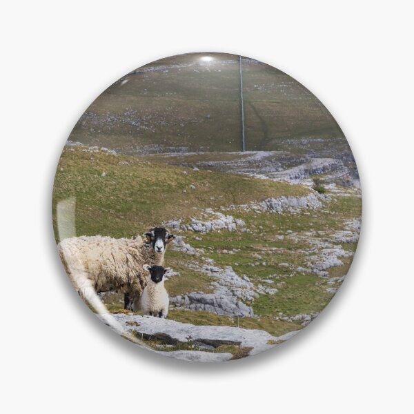 Item preview, Ewe & Lamb designed and sold by MJ-Piccys.