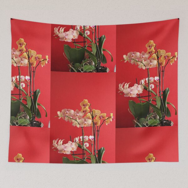 Item preview, orchid designed and sold by Cacho56.
