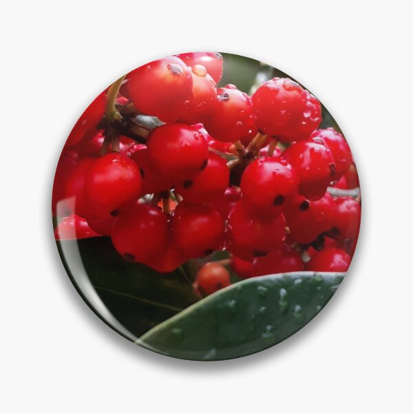 Item preview, Red Berries in the rain  designed and sold by Emma  Amies.