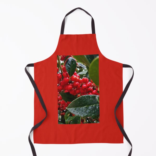 Artikelvorschau, Rote Beeren im Regen entworfen und verkauft von Emma Amies.