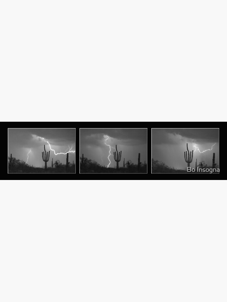 Southwest Saguaro Cactus Desert Storm Panorama BW by mrbo