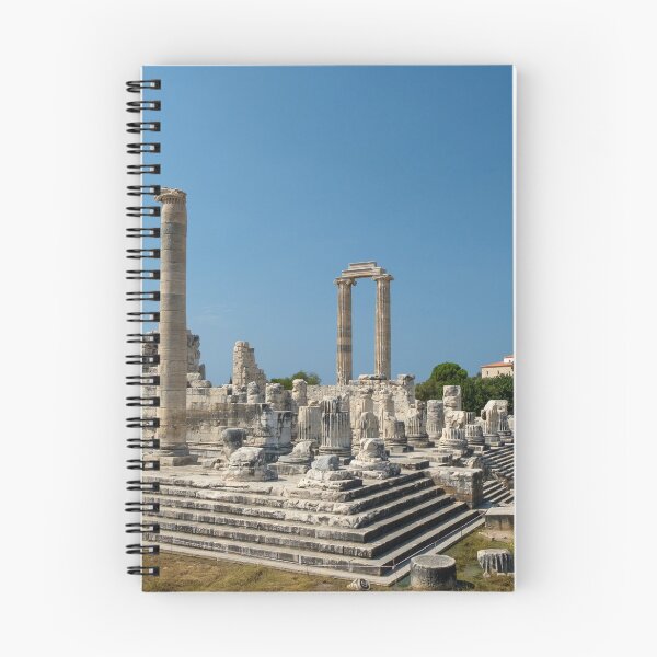 Item preview, Magnificent Greek ruins: a temple and an oracle of Apollo in Didyma / Didim designed and sold by VadimK.