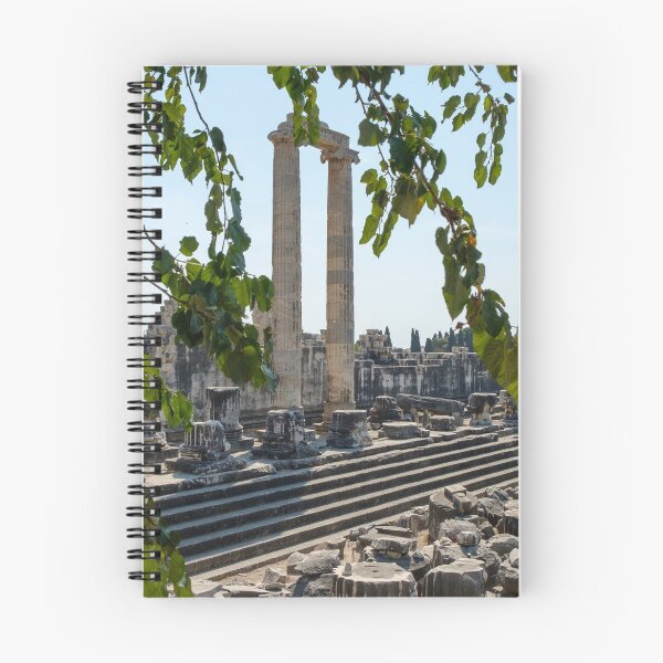 Item preview, Ruins of the Hellenistic temple of Apollo in Didim / Didyma designed and sold by VadimK.