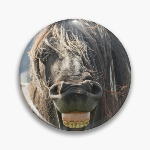 Item preview, The "Laughing" Horse designed and sold by Liz Lane.
