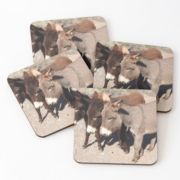 Item preview, Wild burros, donkeys, wildlife, Wild Burro Buddies designed and sold by Sandra O'Toole.