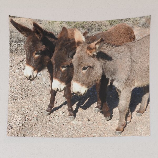 Item preview, Wild burros, donkeys, wildlife, Wild Burro Buddies designed and sold by Sandra O'Toole.