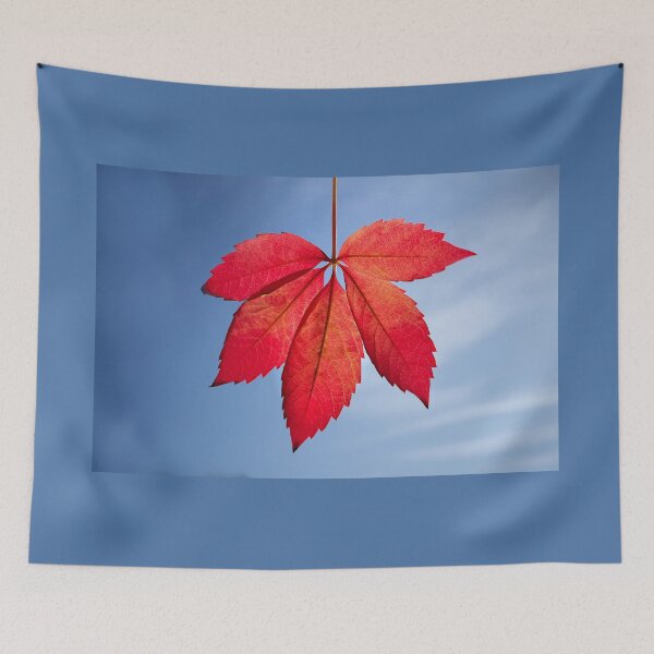 Item preview, Autumn Leaf designed and sold by Alisonchambers2.