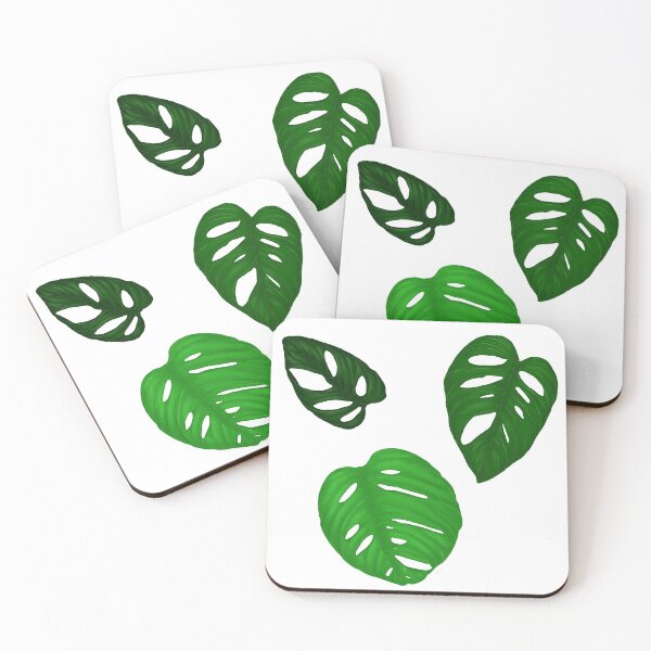 Item preview, Beautyful Monstera adansonii leaves designed and sold by simtod21.