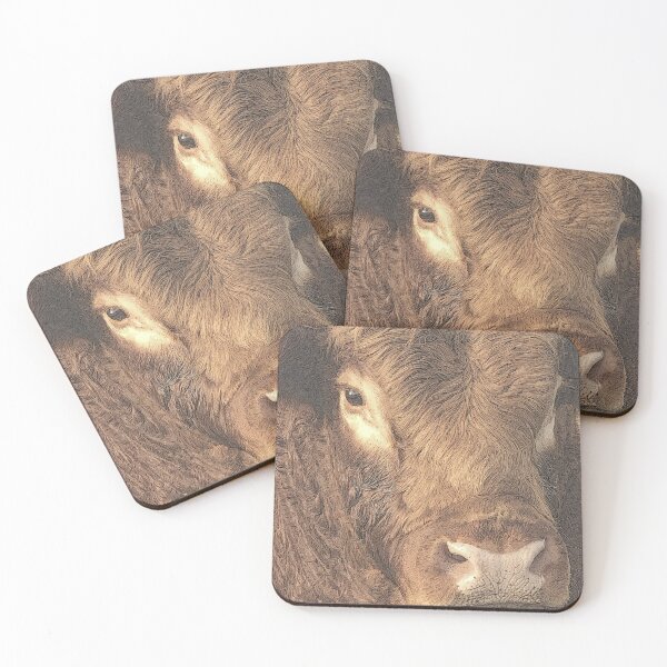 Item preview, LIMOUSIN BULL GRANETA HOO DOO GURU, HOODY  designed and sold by Opalbluerose.