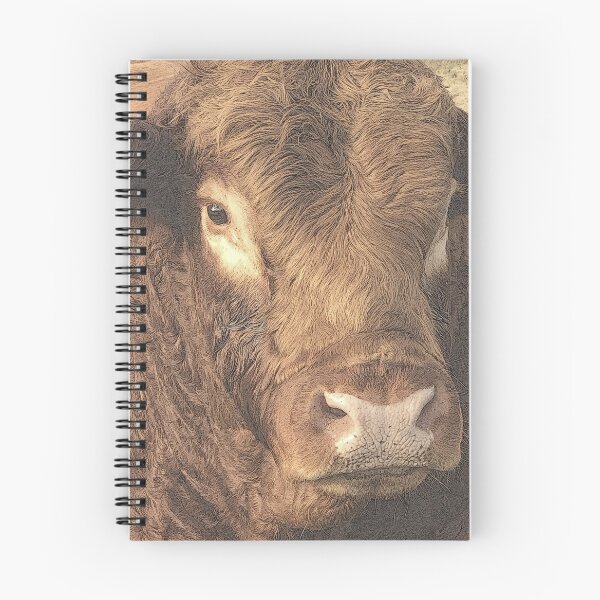 Item preview, LIMOUSIN BULL GRANETA HOO DOO GURU, HOODY  designed and sold by Opalbluerose.
