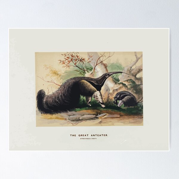 Item preview, Zoological sketches by Joseph Wolf 1861 to 1867 030 The Great Anteater designed and sold by WetdryvacRB01.
