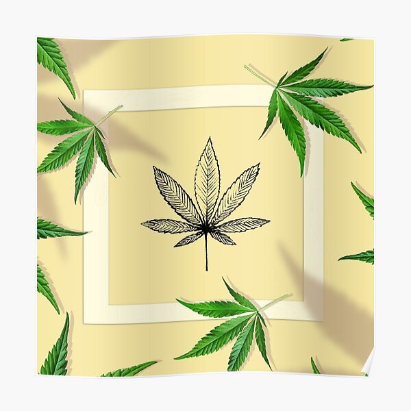 Poster Free Cannabis Redbubble