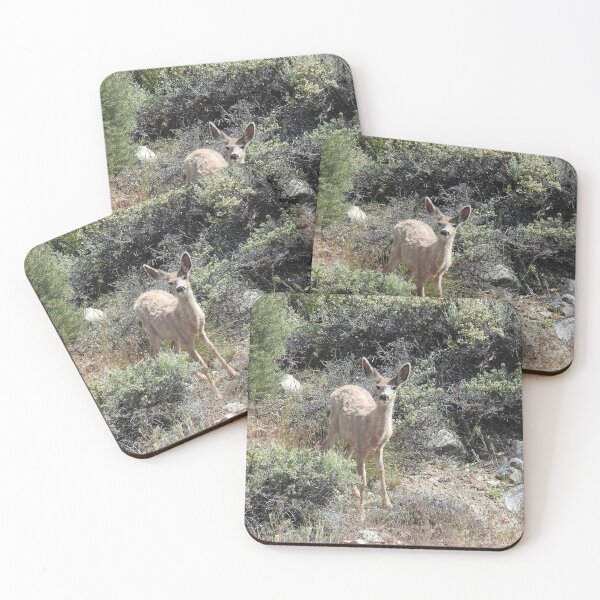 Item preview, Mule deer, wildlife, gifts, Wild Cutie designed and sold by Sandra O'Toole.