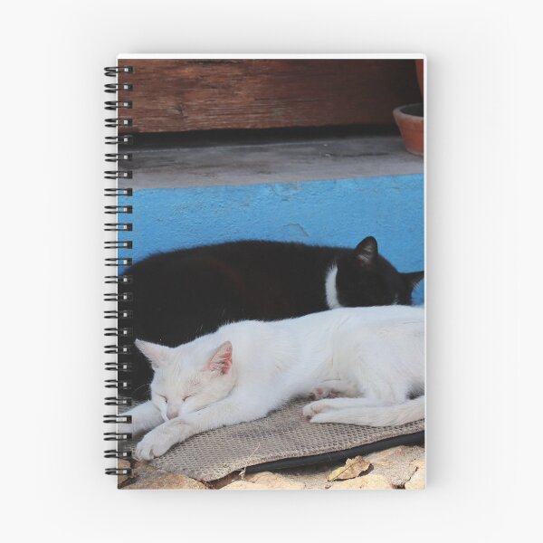 Item preview, Taking a Cat Nap! designed and sold by rozzycollins.