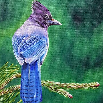 Blue Jay Bird Painting Original Blue Jay Flight Art Blue Jay Flying Bird  Oil Painting 