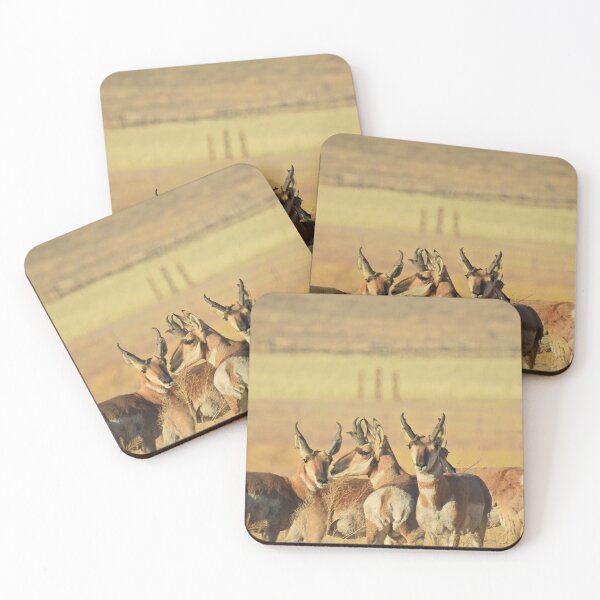 Item preview, Pronghorn, antelope, wildlife, gifts, Life of the Herd designed and sold by Sandra O'Toole.