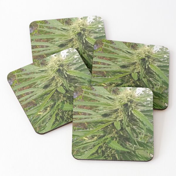 Item preview, A Nice Frosty Flower  designed and sold by StarTreader.