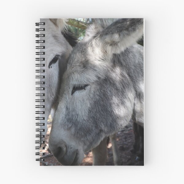 Item preview, Two Donkeys designed and sold by rozzycollins.