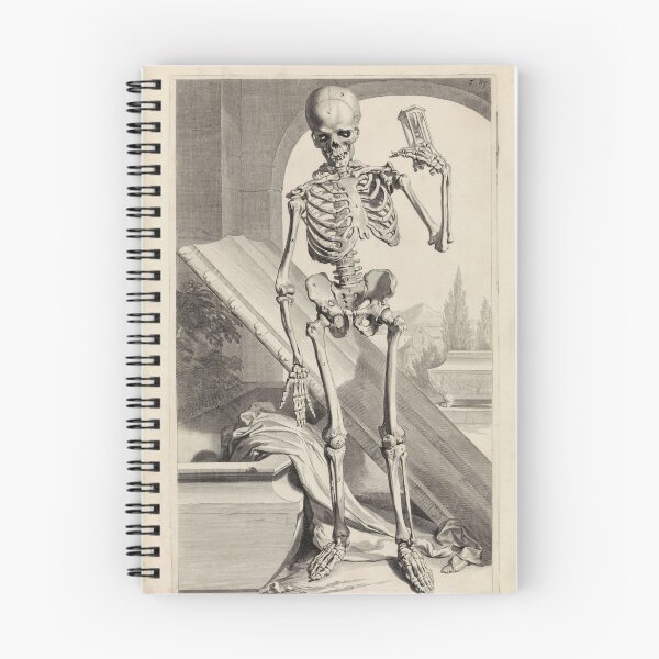 Item preview,  Anatomical Model of a Human Skeleton, Pieter van Gunst, after Gerard de Lairesse, 1685 designed and sold by Gin  Neko.