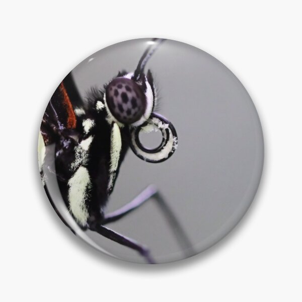 Item preview, Close-up Hecale Longwing designed and sold by Jo Nijenhuis.