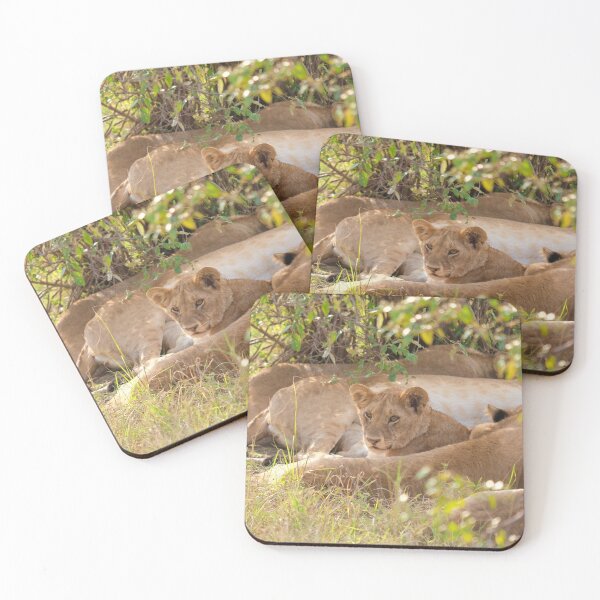 Item preview, Lion cub resting. Masai Mara National Park, Kenya designed and sold by electricimage.