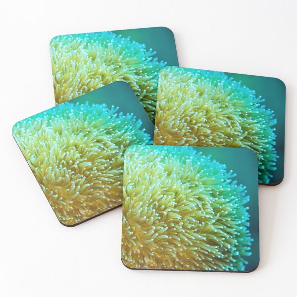 Item preview, Pillar Coral 2 designed and sold by Caitlin Chock.
