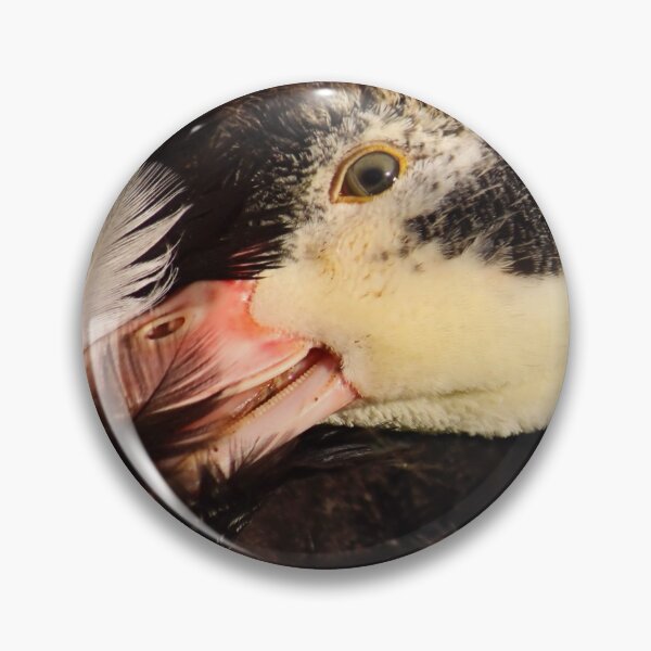 Item preview, First Feathers designed and sold by Jo Nijenhuis.
