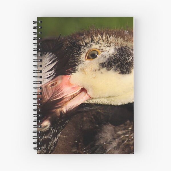 Item preview, First Feathers designed and sold by Jo Nijenhuis.