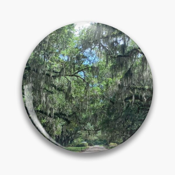Item preview, Oak Tree Driveway designed and sold by WiseWanderings.