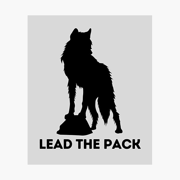 Lead The Pack: Light Gray Selection Photographic Print