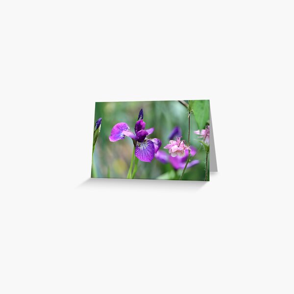 Siberian Iris Greeting Card for Sale by Kasia-D