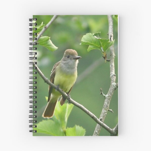 Item preview, Great crested Flycatcher designed and sold by Enola Gay Wagner.