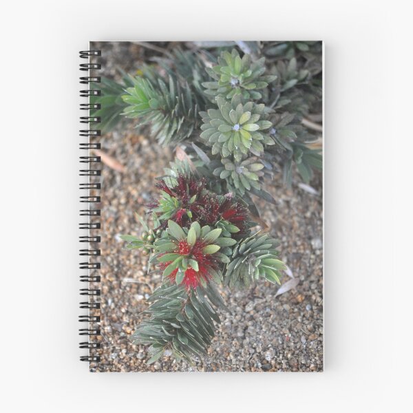 Item preview, CACTI AND SUCCULENTS designed and sold by JAYMILO.