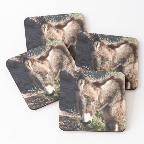Item preview, Wild burros, donkeys, wildlife, gifts, Cuddly Babe designed and sold by Sandra O'Toole.